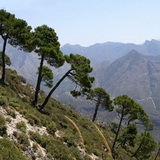 Sierras de Tejeda